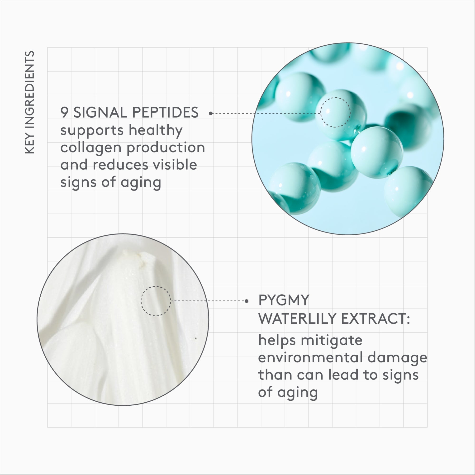 Drunk Elephant Protini Polypeptide Cream - Image 5