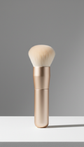 Champagne gold powder brush signature design